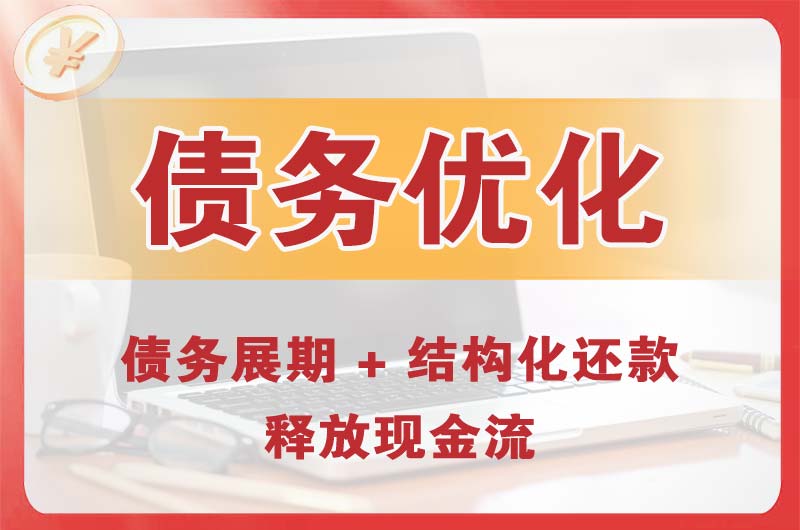 肃宁债务优化