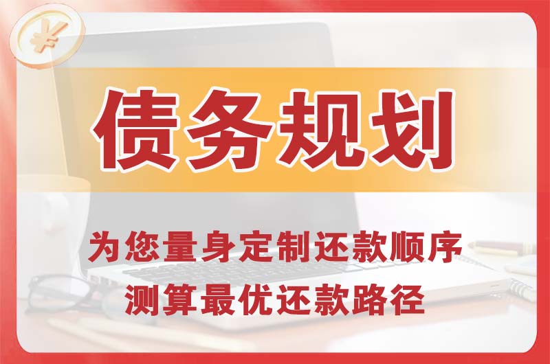 肃宁债务规划